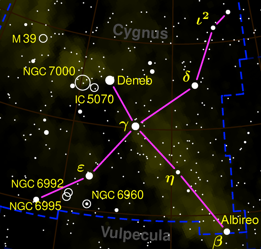 Cygnus constellation